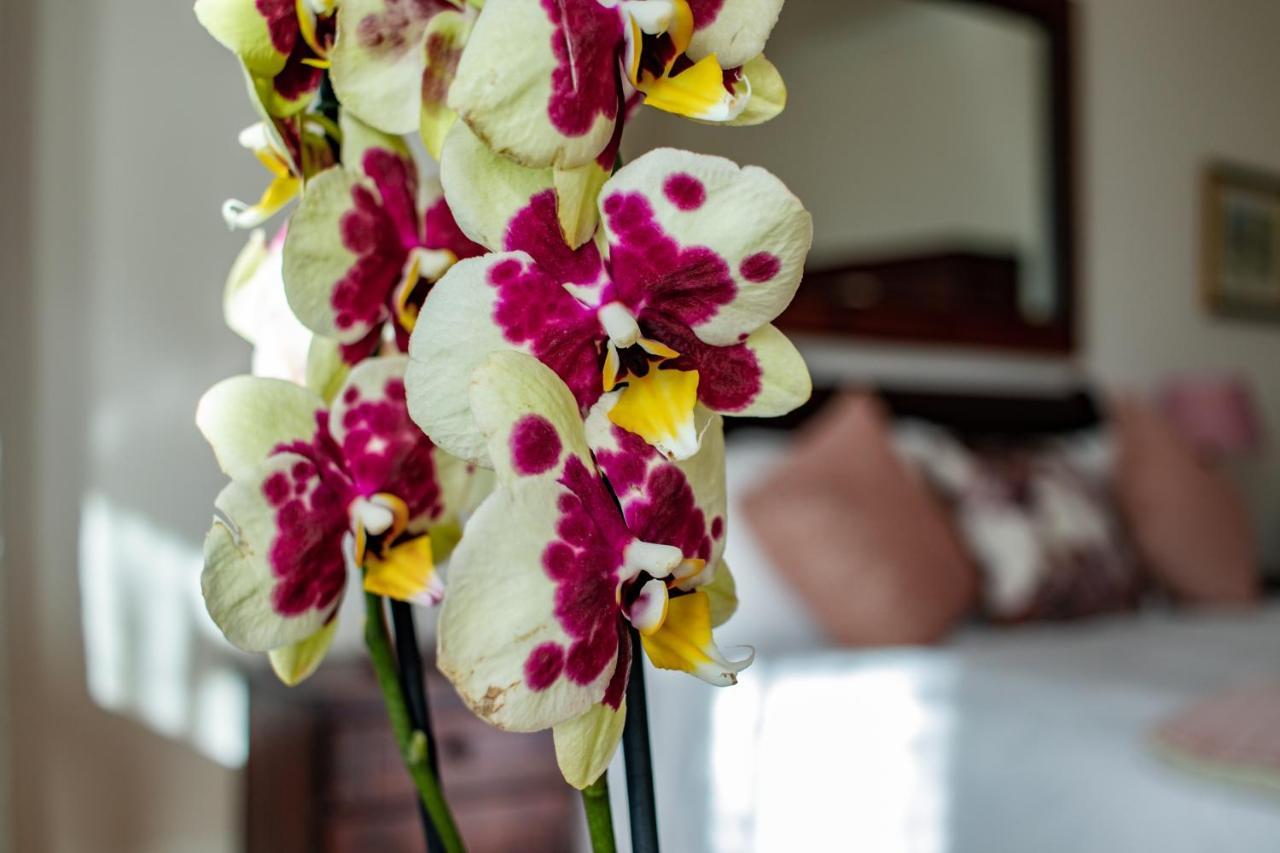 Carmichael House Boutique Hotel Cape Town Ngoại thất bức ảnh