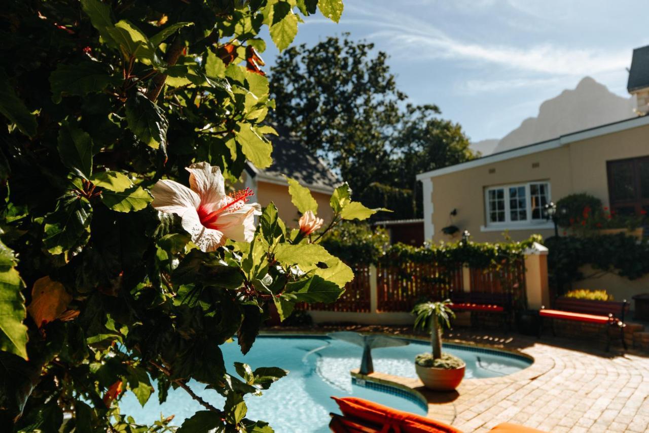 Carmichael House Boutique Hotel Cape Town Ngoại thất bức ảnh