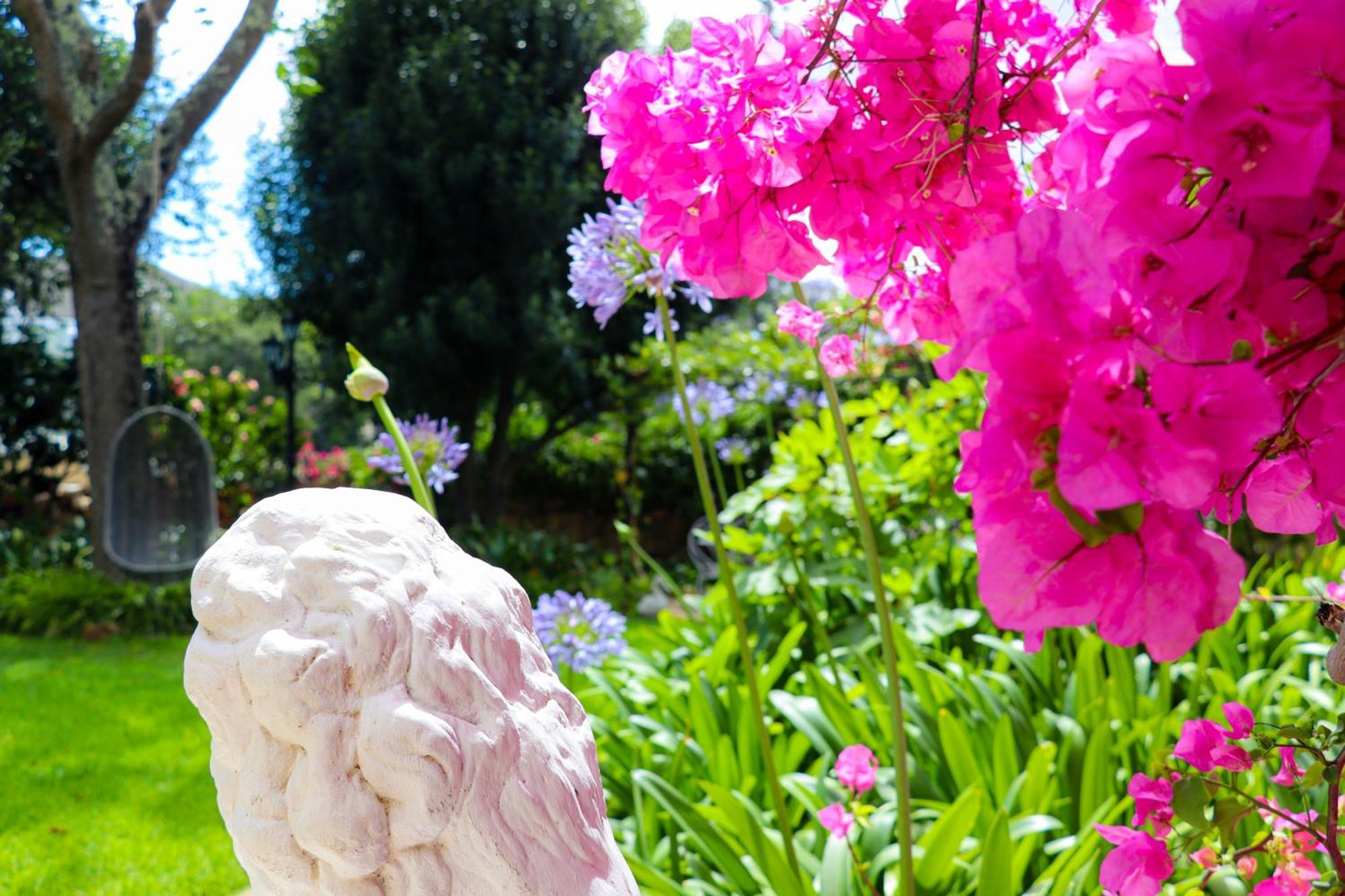 Carmichael House Boutique Hotel Cape Town Ngoại thất bức ảnh