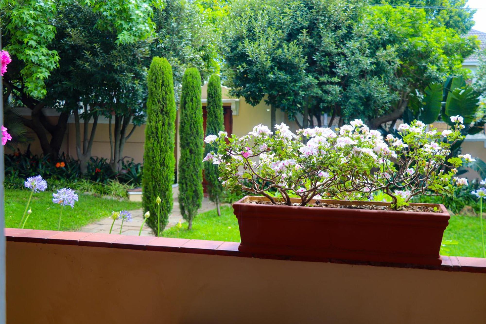 Carmichael House Boutique Hotel Cape Town Ngoại thất bức ảnh