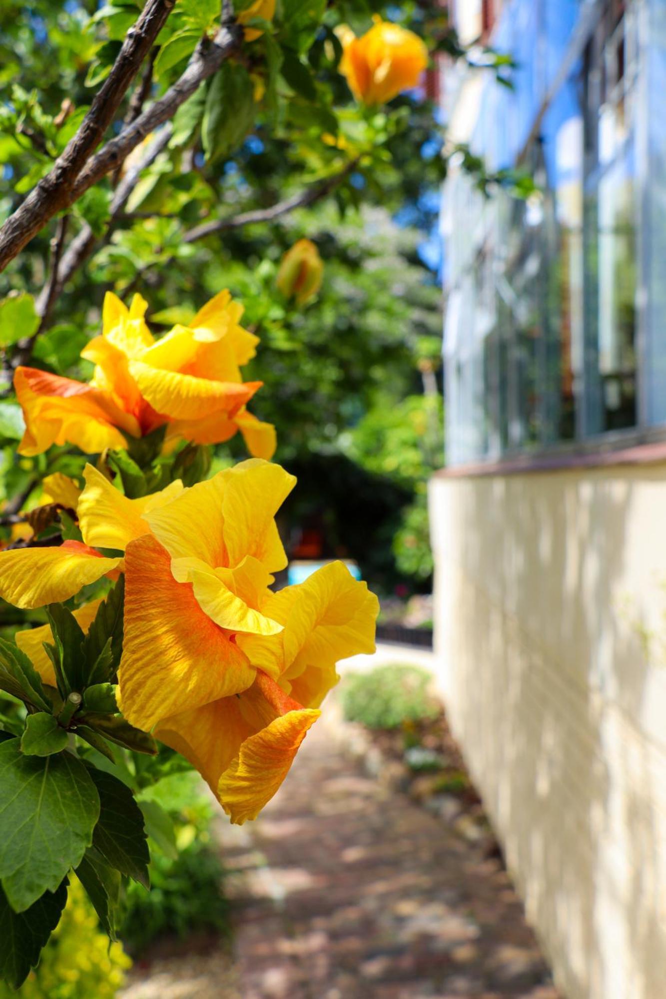 Carmichael House Boutique Hotel Cape Town Ngoại thất bức ảnh